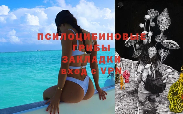ешки Бронницы