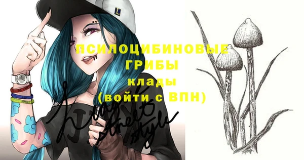 гашик Верхнеуральск