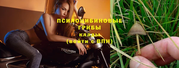 герыч Волоколамск
