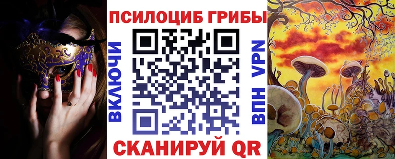 это какой сайт  продажа наркотиков  Истра  Галлюциногенные грибы Psilocybine cubensis 